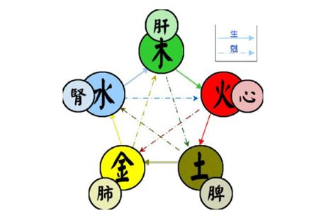 水和金 五行|五行（对万事万物的取象比类）